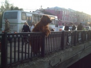 180px-Russian Bear on teh street.jpg